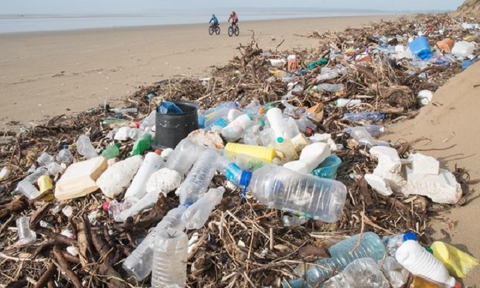 Biodegradable plastic `false solution` for ocean waste problem